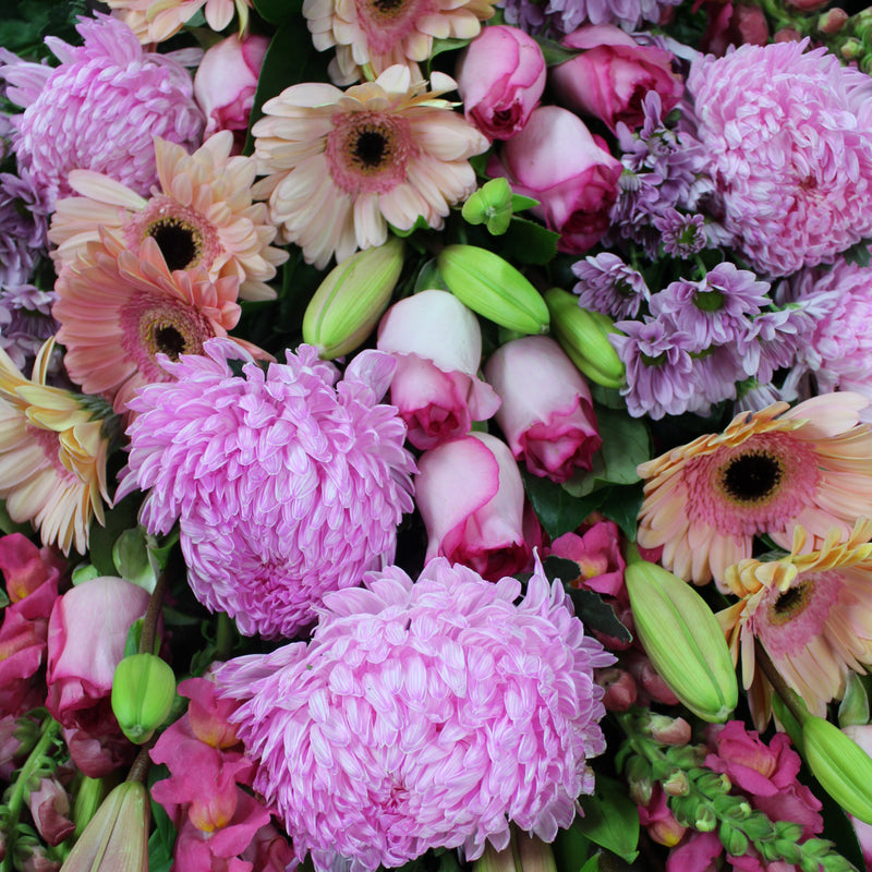 Pretty In Pink Deluxe