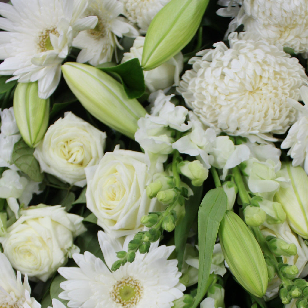 Simply White Deluxe