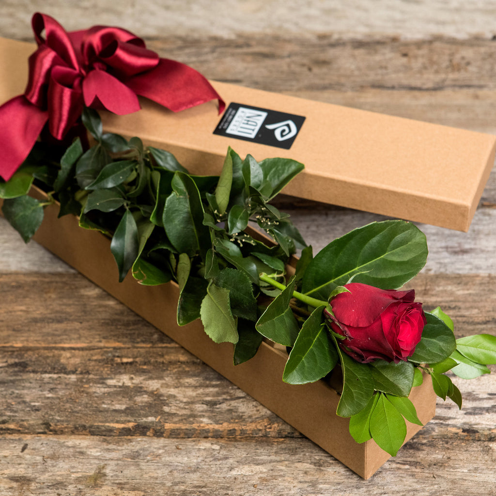 Fairy Tale Rose - Single Rose