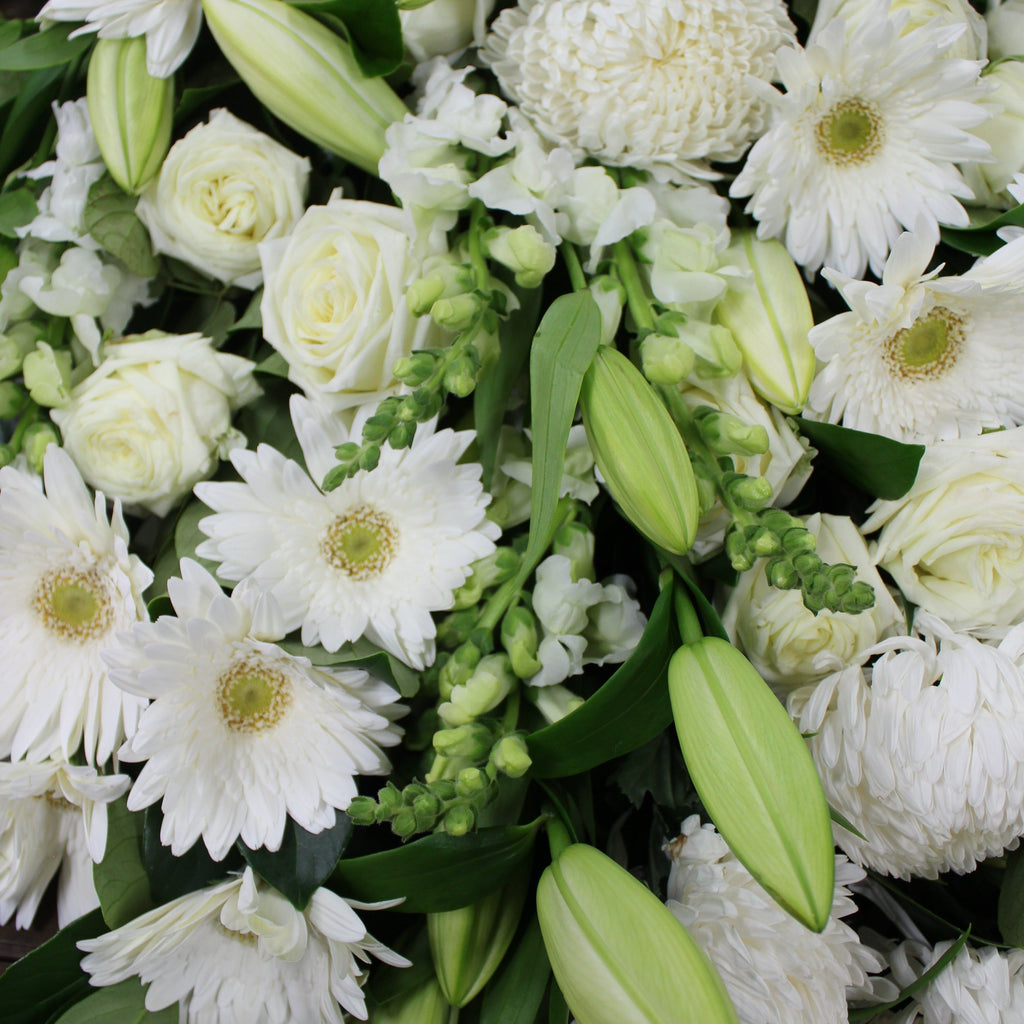 Nati Roses - Buy fresh roses online from Dural Sydney Hills