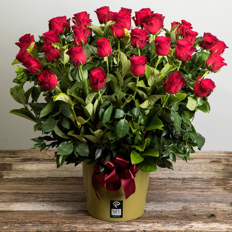 Nati Roses - Buy fresh roses online from Dural Sydney Hills
